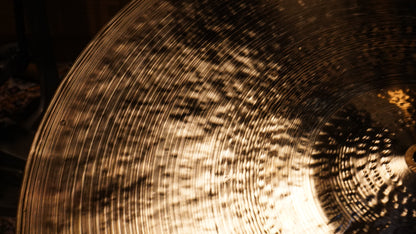 20" Perceptual Ride 1982g