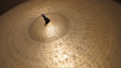 24" Perceptual Ride 2969g