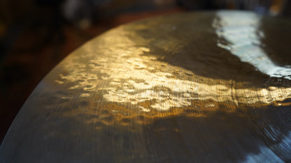 20" Nefertiti 1917g
